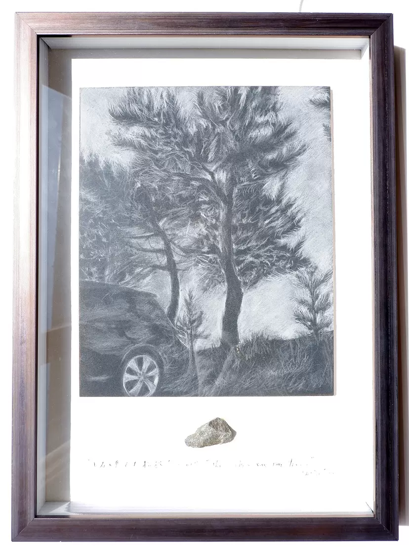 The pebble saw pine forest that the s were looking at by FUJIWARA  Fumie