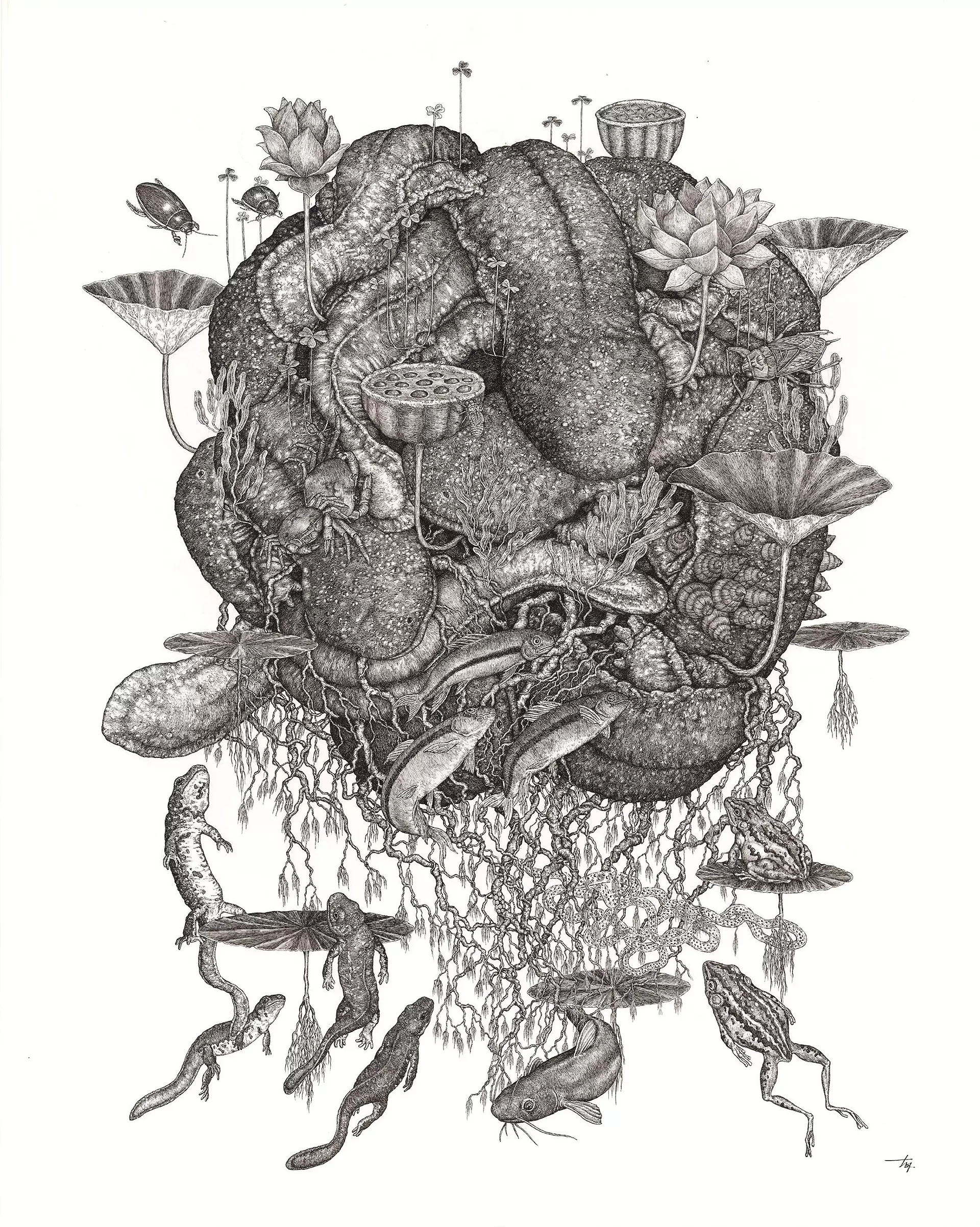 一颗脉动的星球
