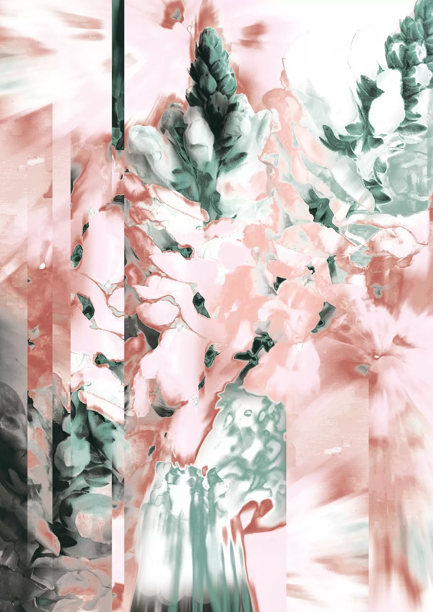 Snapdragon flower(2024)
