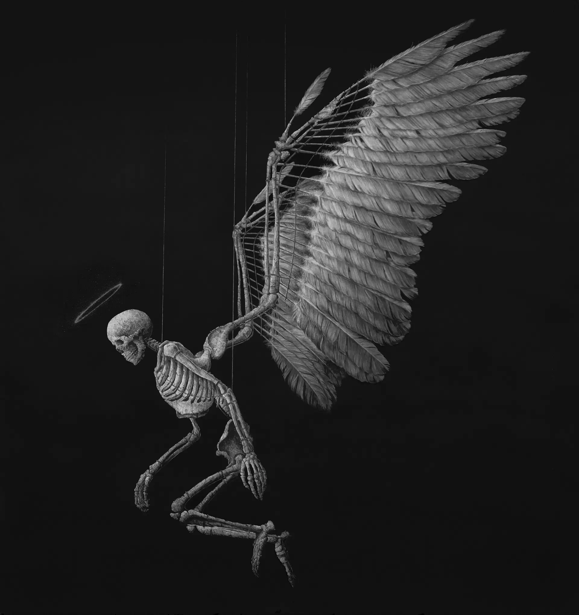 一宮の骨　 エンジェルの全身骨格化石図 by 天久 高広 | 現代アートの販売
