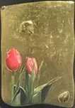 チューリップ