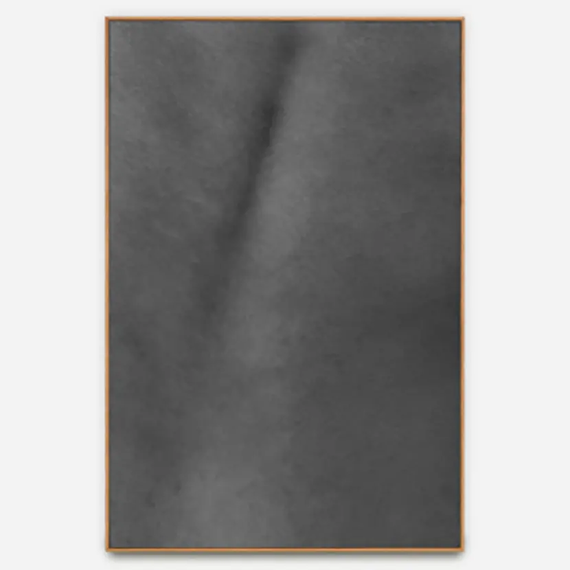 Skin (4690)