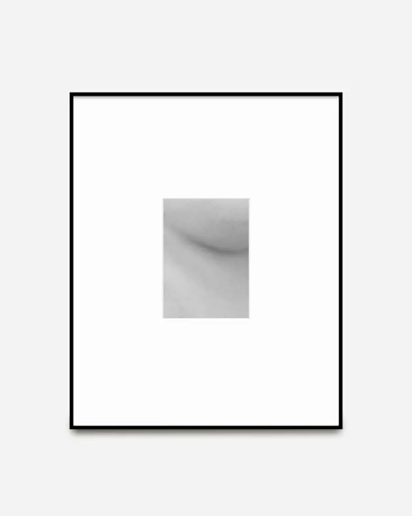 Skin (4528, part)