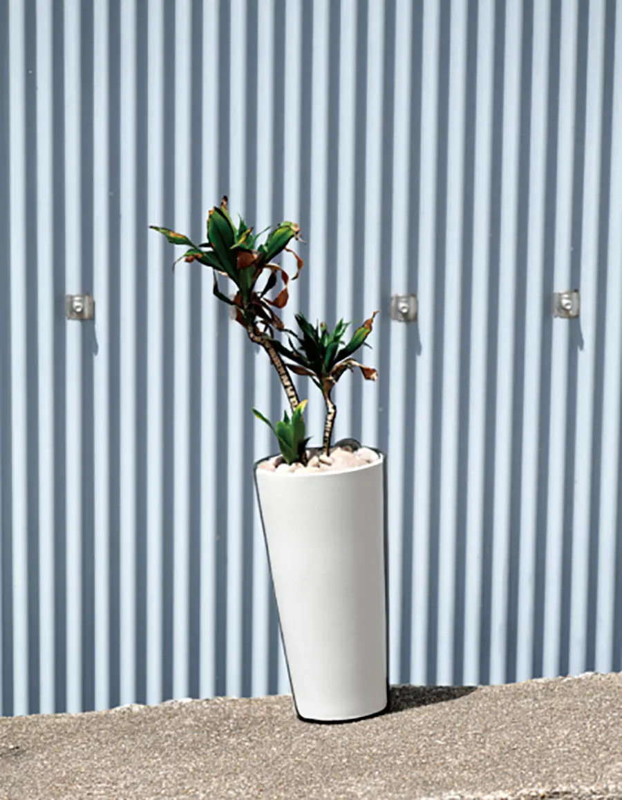 2と3のあいだ -トタンと植物-