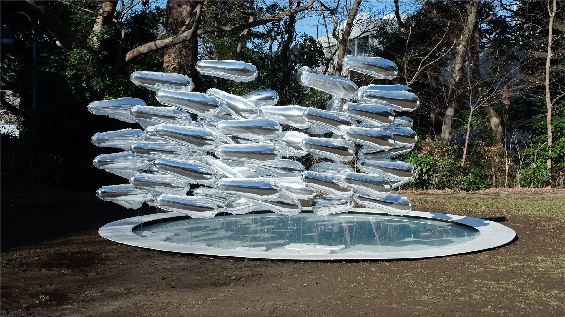 彼ら