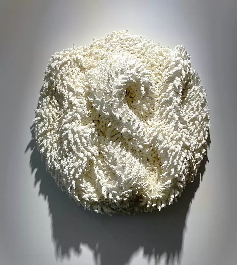 Halo by 松本千里