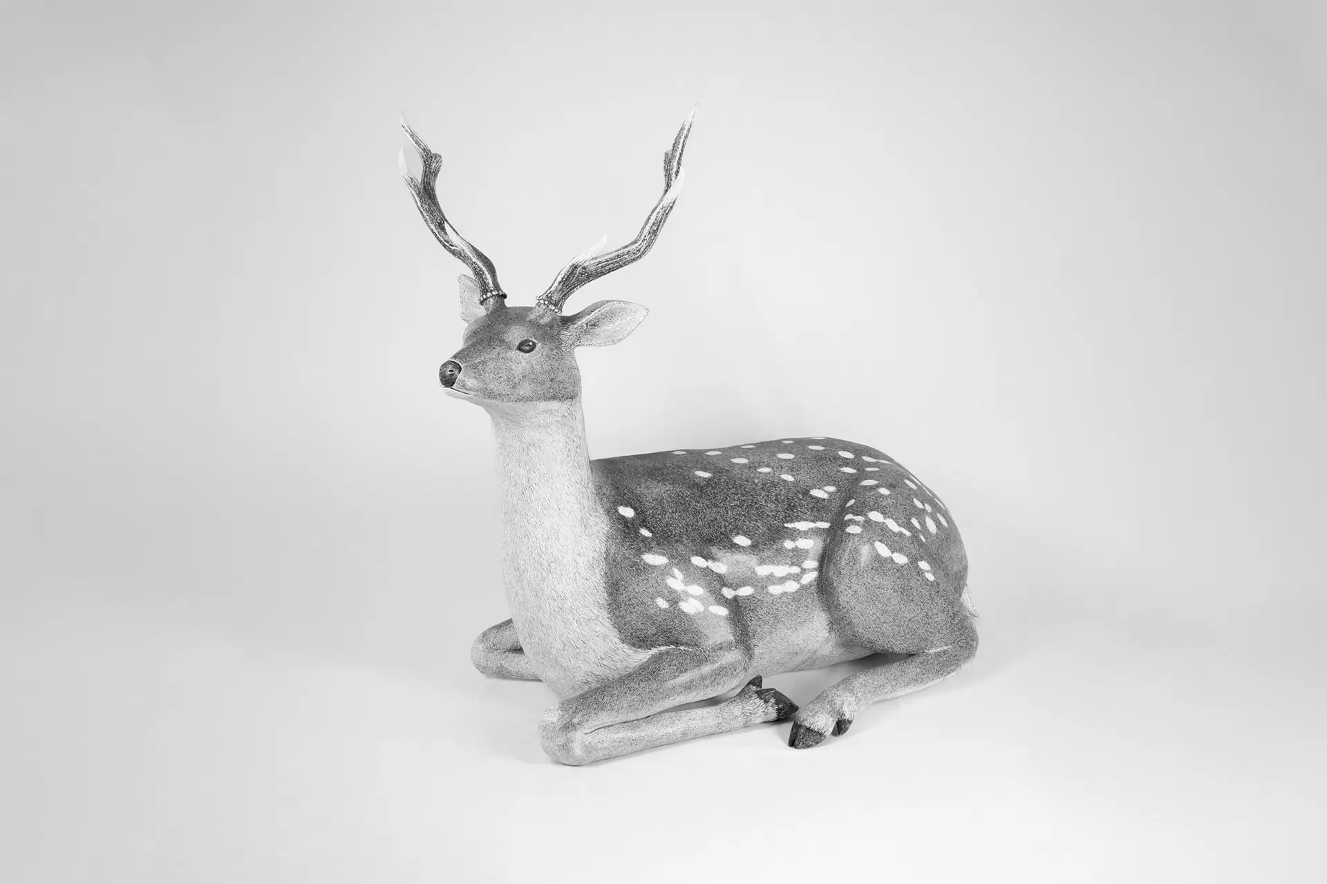 3-Draw series “DEER”