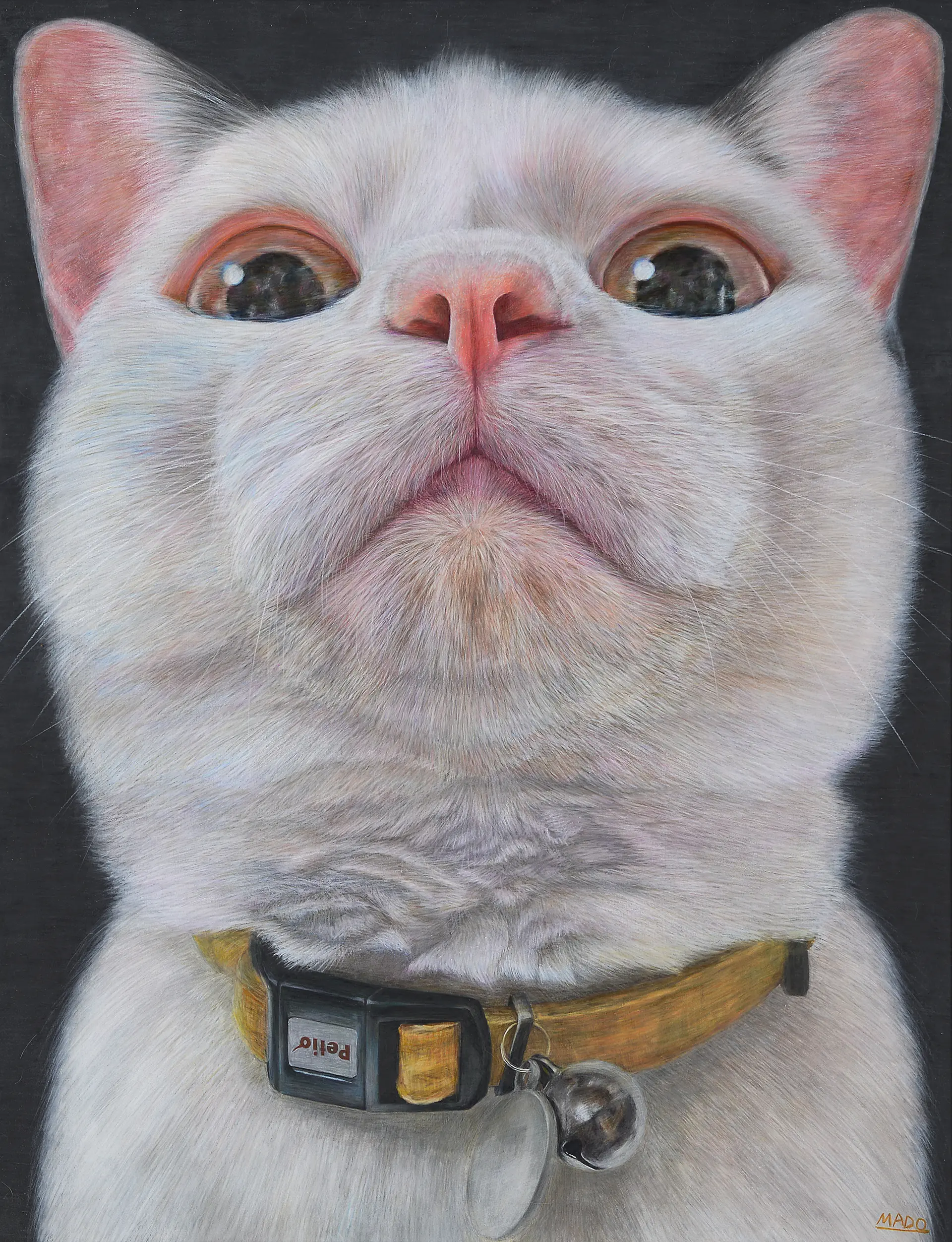 修正作品　プカプカ猫 額付き銅版画応用絵画「プカプカ猫」 額付き銅版画応用絵画「プカプカ猫」