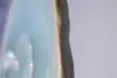 アンドロギュノス伝・始