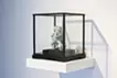 分裂之前，聯盟之後