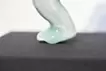 分裂之前，聯盟之後
