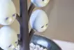 「卵の木」
