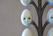 「卵の木」