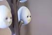 「卵の木」