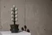 虹の印