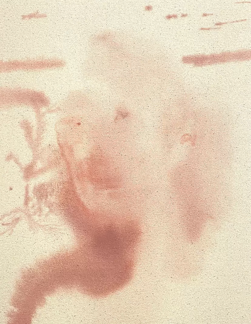 A translucent face by 八田亜美