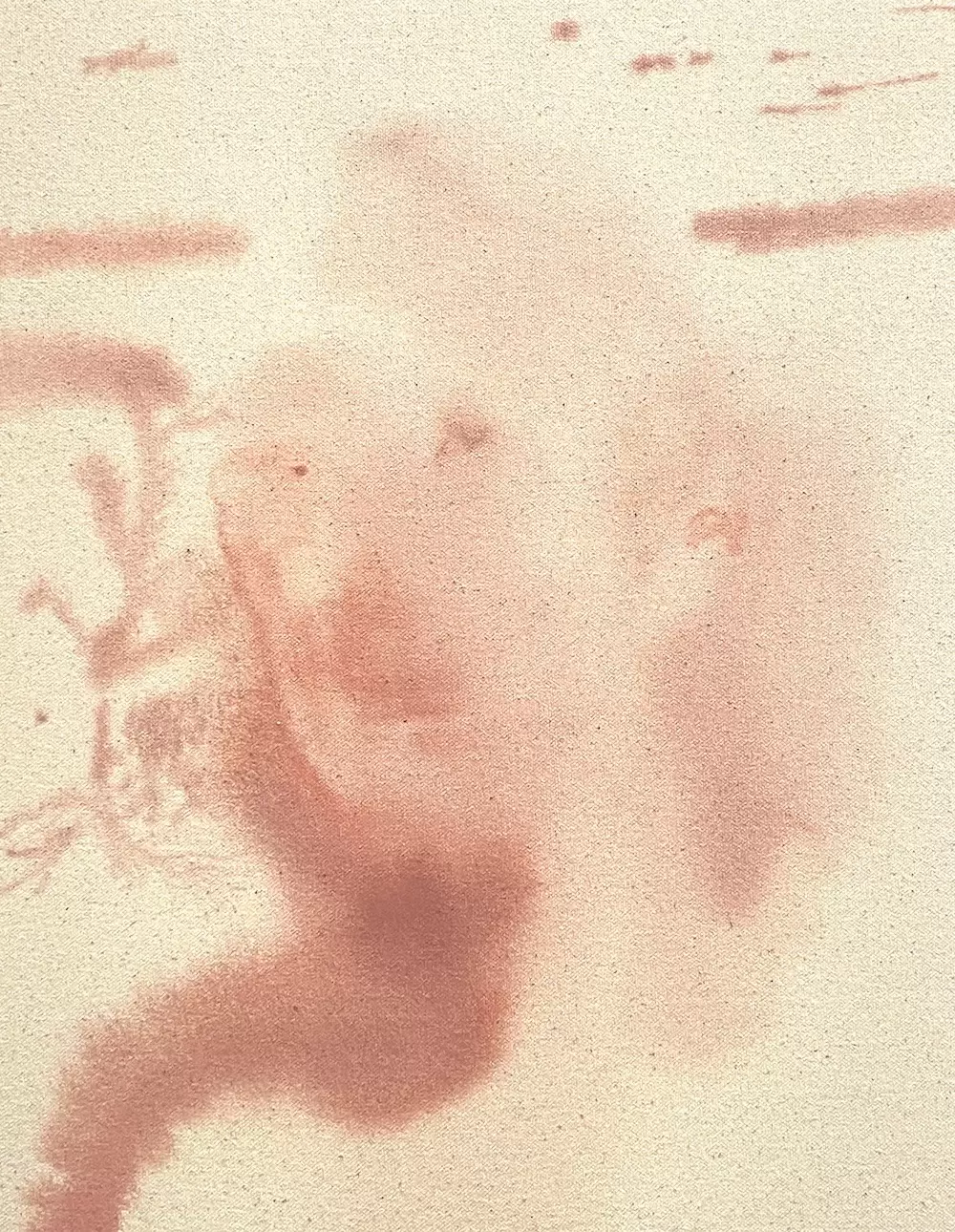 A translucent face