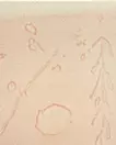 Tear stains
