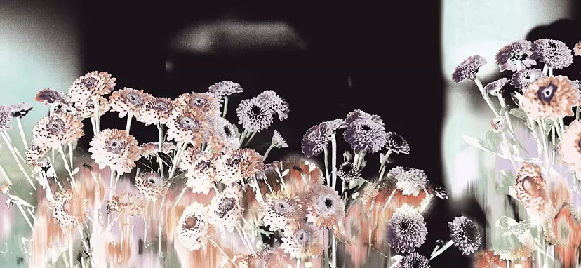 Spray Mum(2025) by 楢崎恵美／EMMI NARASAKI