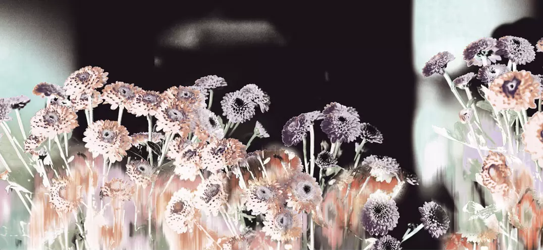 Spray Mum(2025)