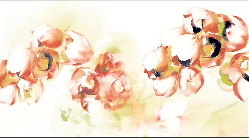 Cymbidium(2025) by 楢崎恵美／EMMI NARASAKI
