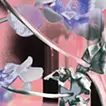 Anemone(2025)