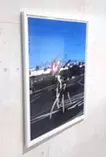 朝、こちらを見ている