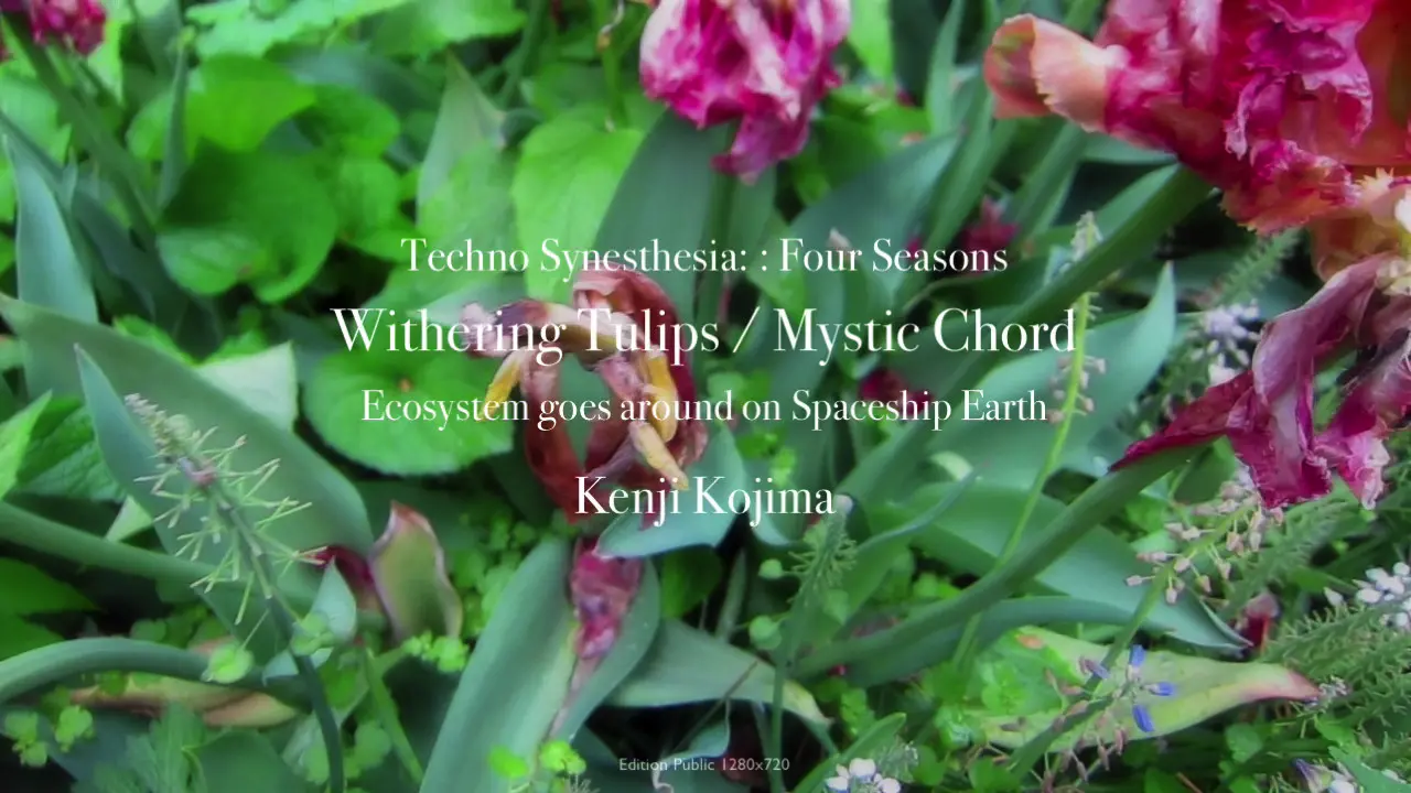 Techno Synesthesia: Four Seasons / Withering Tulips / Mystic Chord 