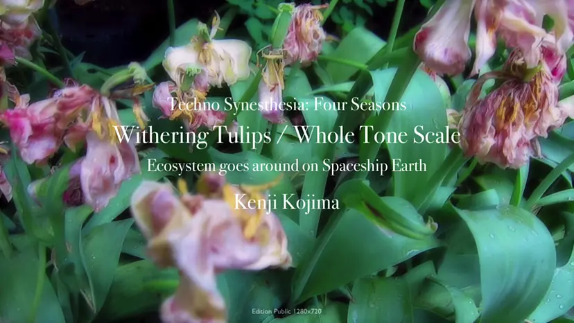Techno Synesthesia: Four Seasons / Withering Tulips / Whole Tone Scale by Kenji Kojima