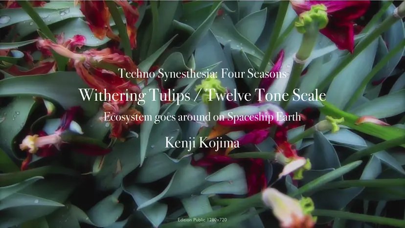 Techno Synesthesia: Four Seasons / Withering Tulips / Twelve Tone Scale by Kenji Kojima