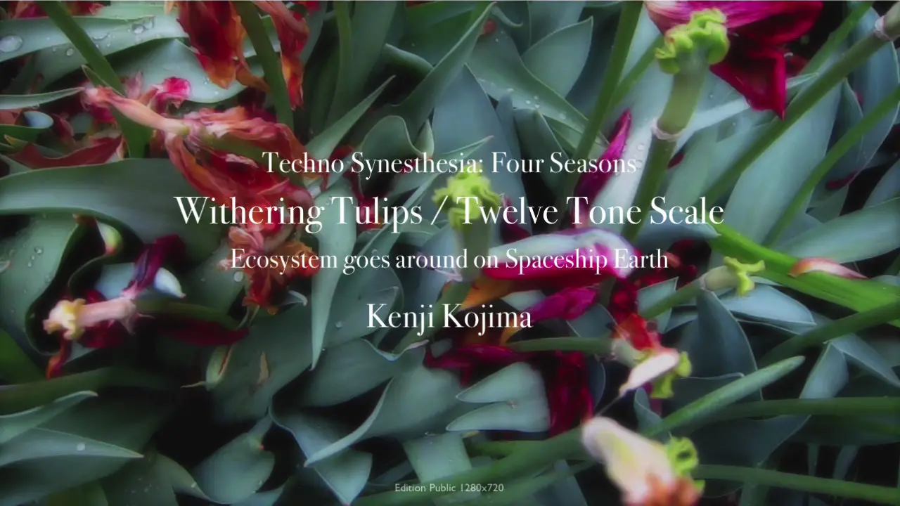 Techno Synesthesia: Four Seasons / Withering Tulips / Twelve Tone Scale