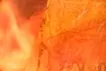 The Fire