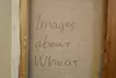 Images about Wheat