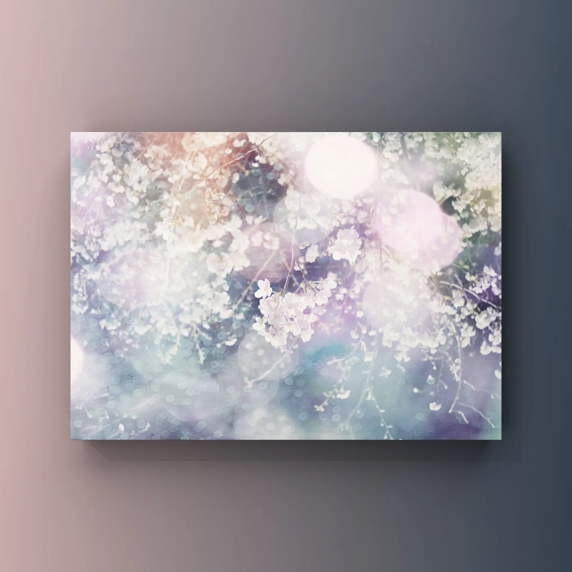 見上げたら、夜桜。