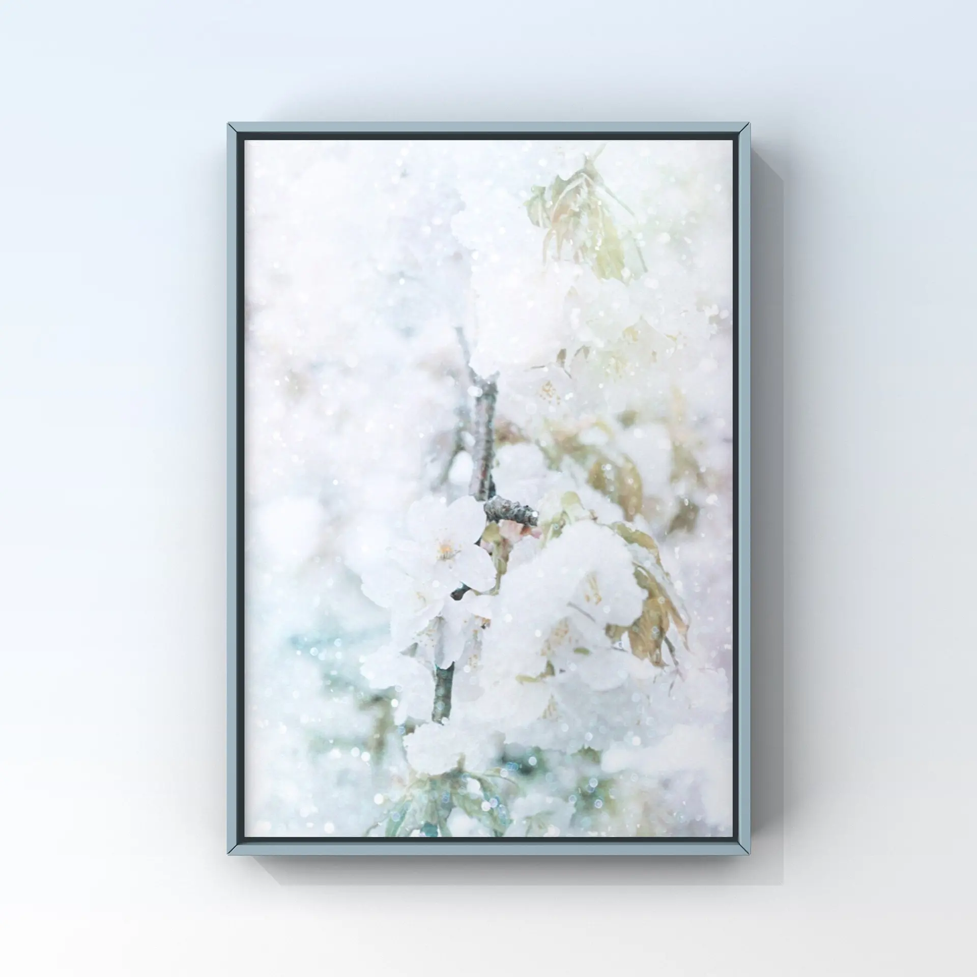 桜と雪