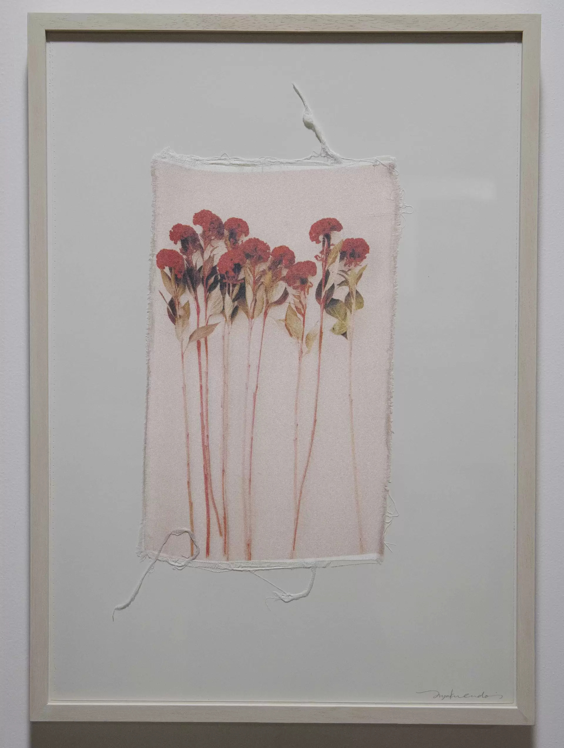 Swaying Flowers_16