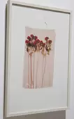Swaying Flowers_16