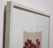 Swaying Flowers_16