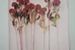 Swaying Flowers_16