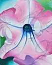 Untitled (flower) 6