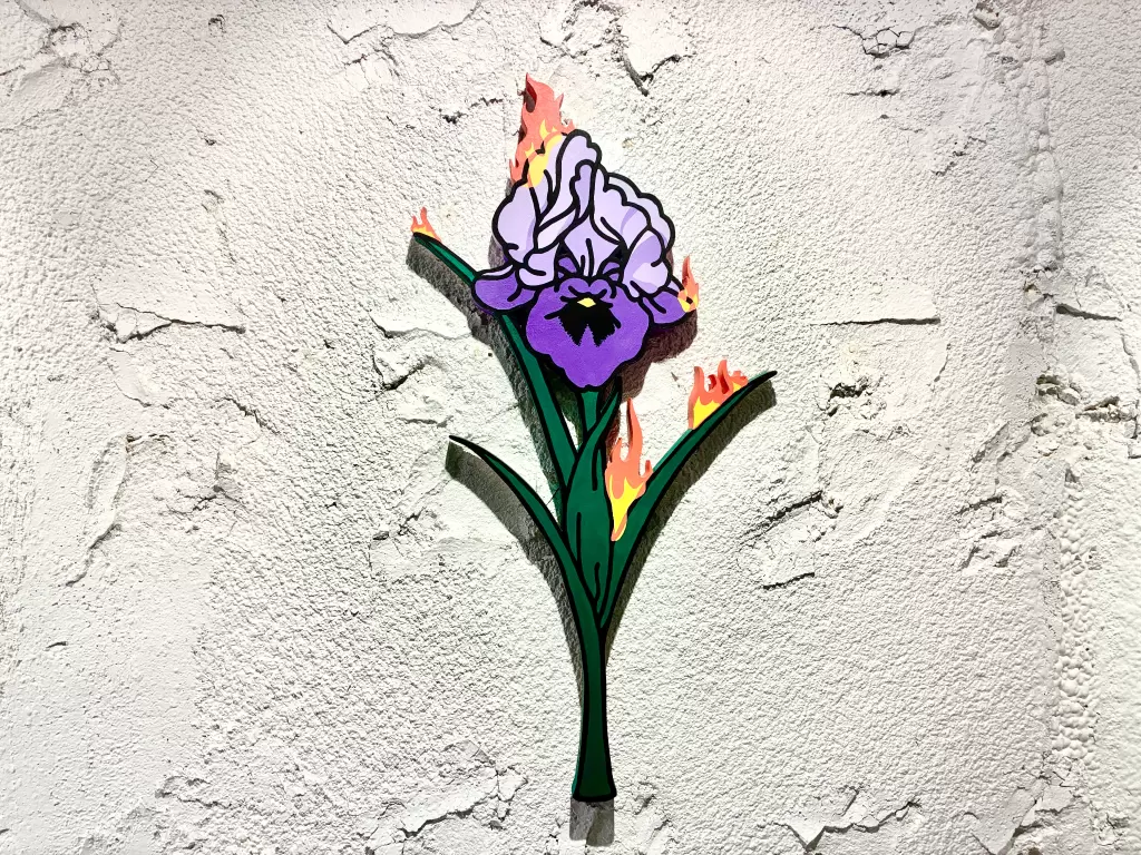 Iris in the Story