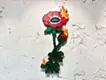 Anemone in the Story