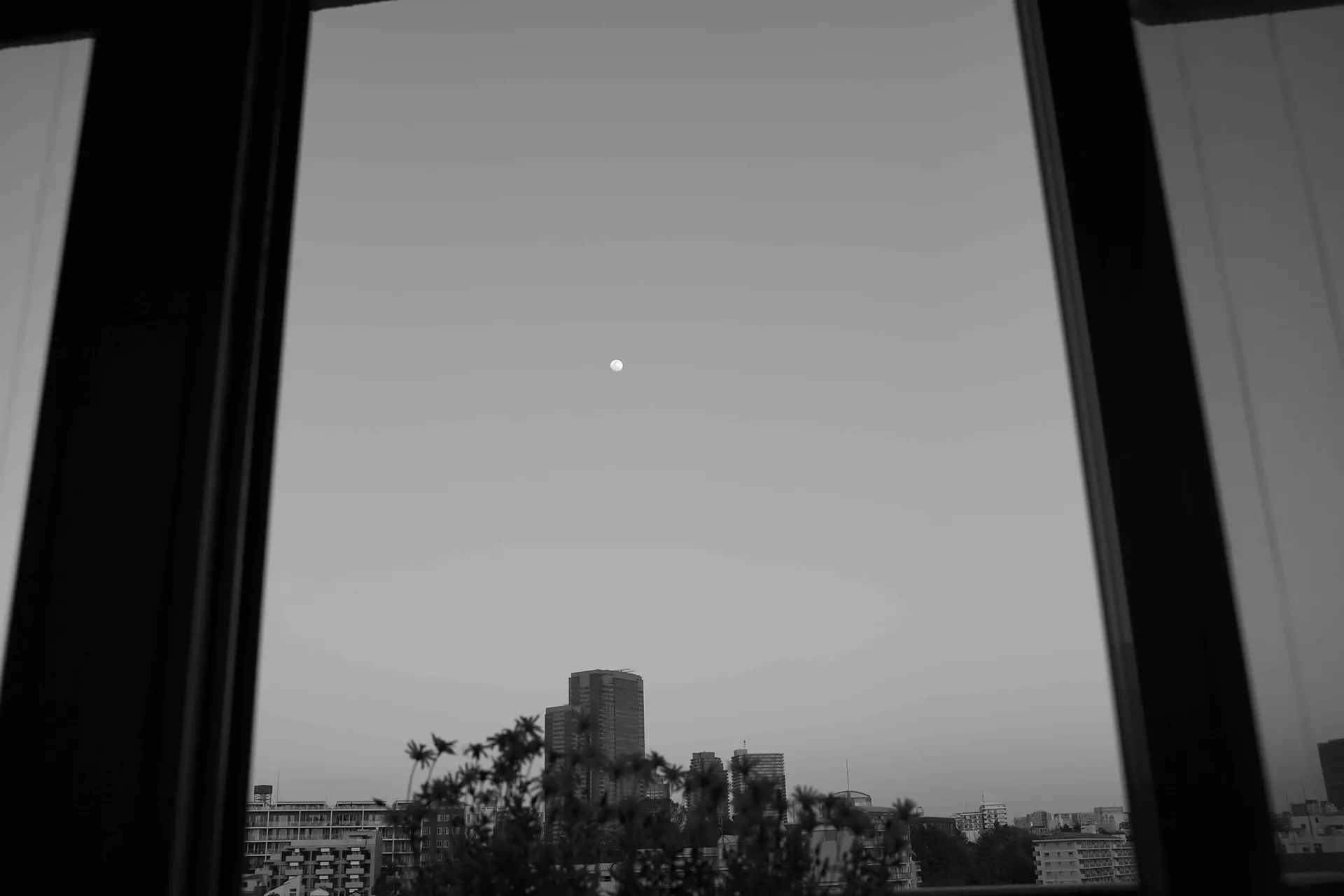「STAY HOME」〜no.7  "スーパームーン　the Super moon 2020"