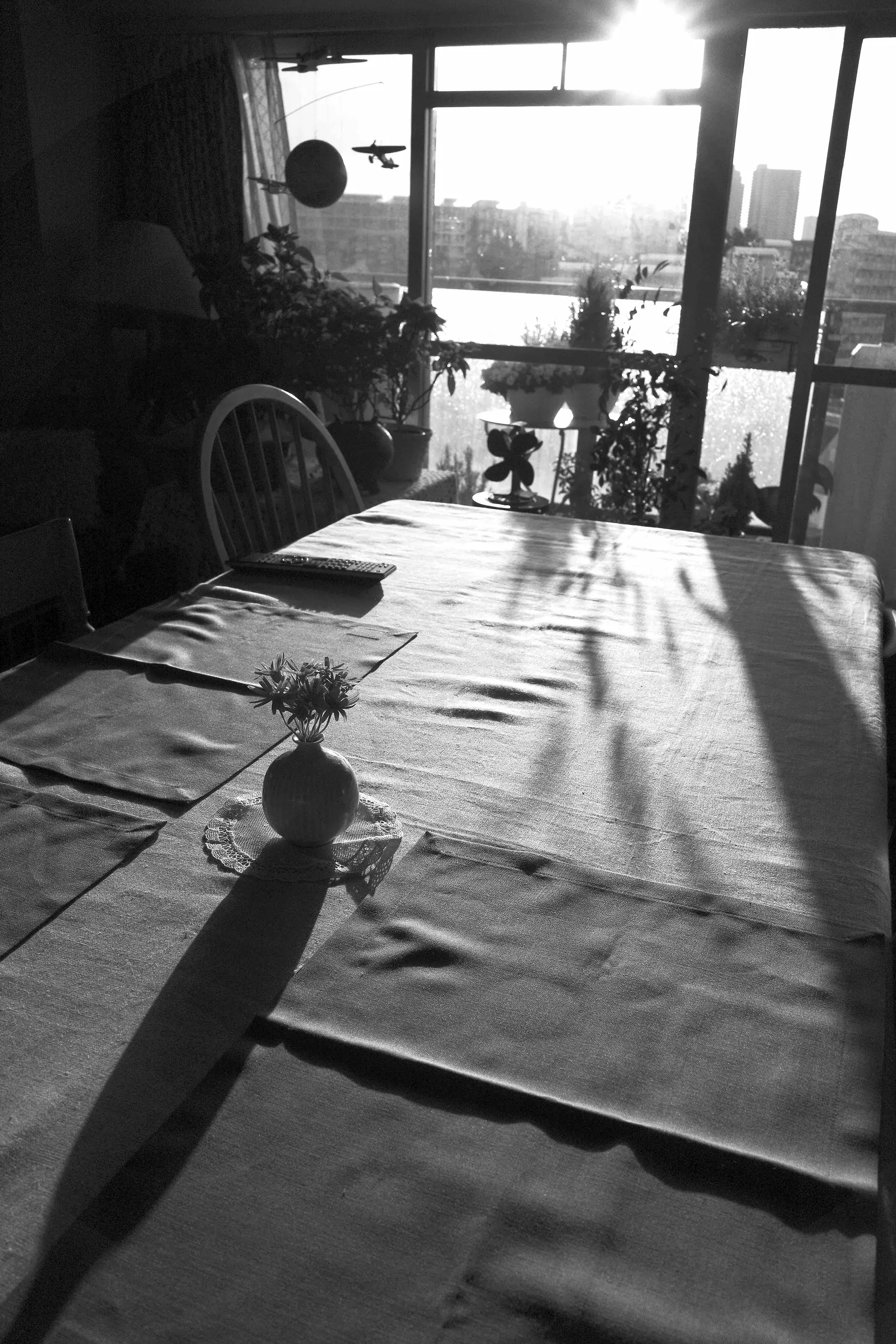 「STAY HOME」〜no.2 "朝日 the Morning Sunlight 2020"