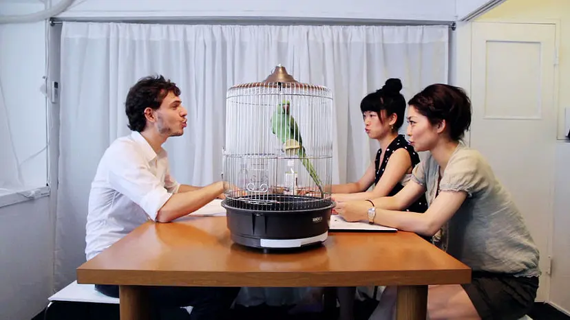 インコを連れてフランス語を習いにいく by AKI INOMATA