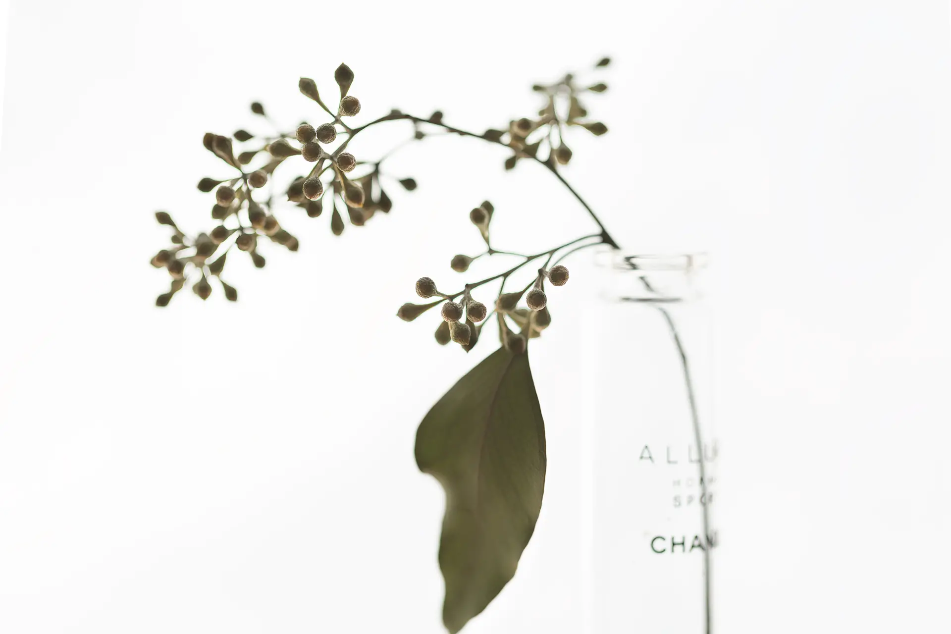 FLOWERTIME  #001