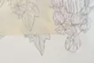 Drawing for a Bodhisattva