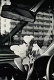 Prologue
