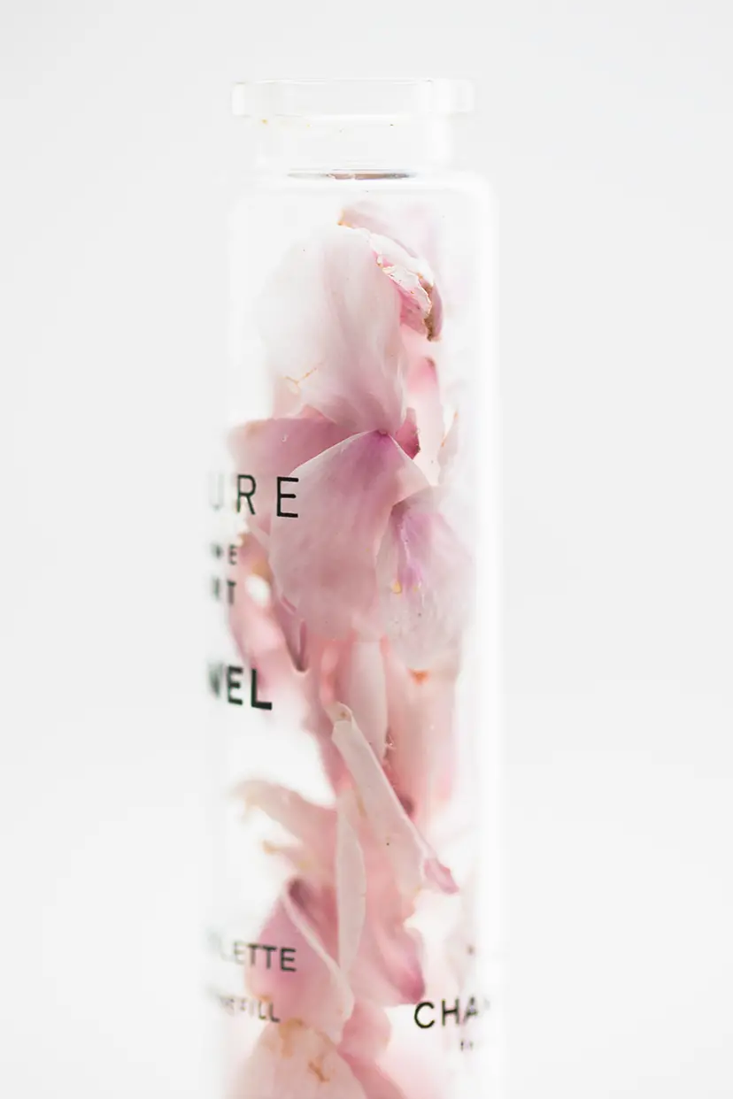 藤田 一咲 のアート作品 | 現代アートの販売・通販 | ArtSticker