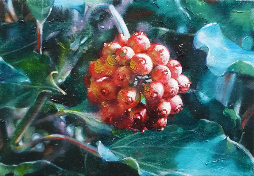 fruition by Miyayama Kana